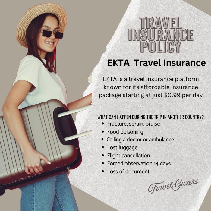 travel insurance platform known for its affordable insurance package starting at just 0.99 per da