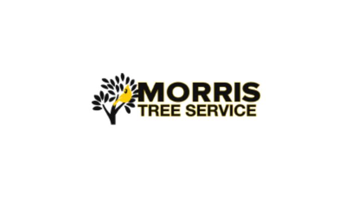 Tree Company Offering Tree Cutting and Cleanup Services