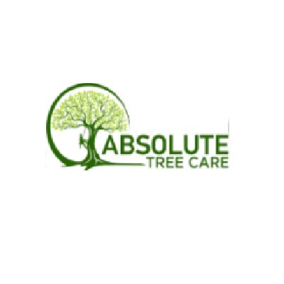 Tree Removal Bass Coast