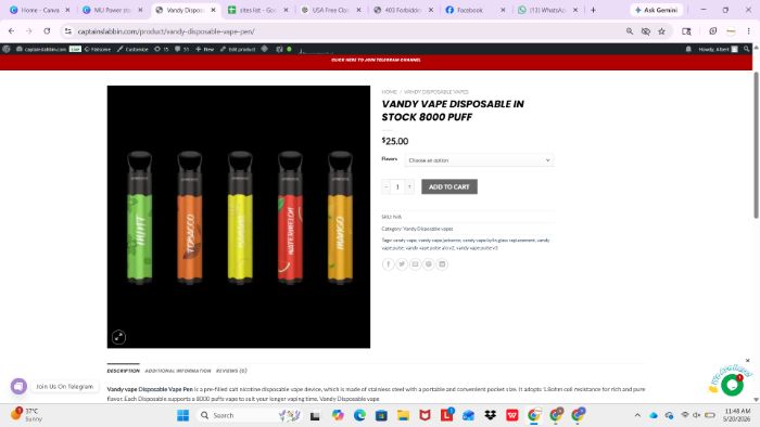 VANDY VAPE DISPOSABLE IN STOCK 8000 PUFF