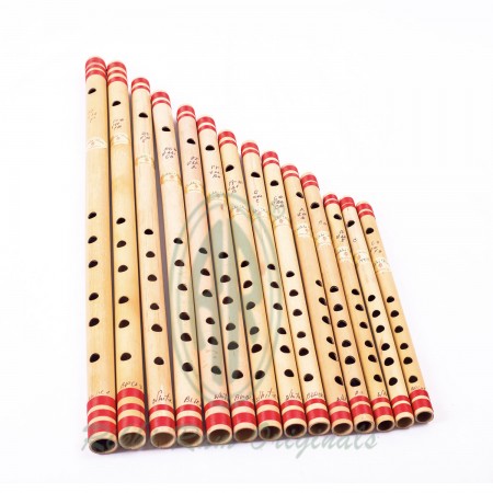 Wind Instruments Store in Delhi