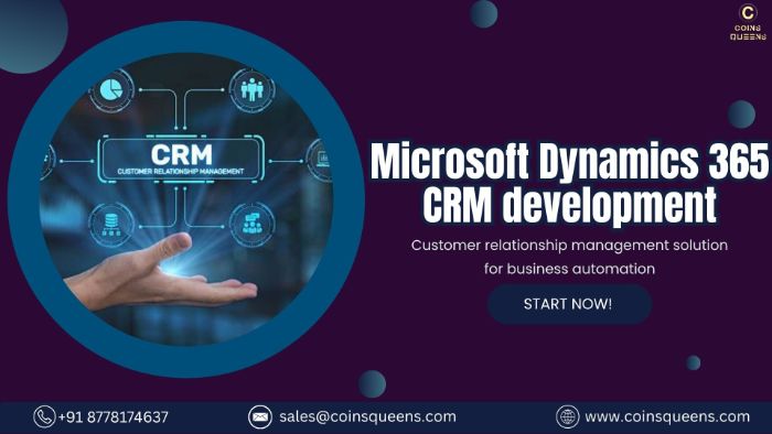 EndtoEnd Microsoft Dynamics 365 CRM Development Services