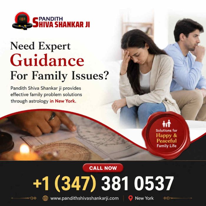 Famous Family Problem Solutions Astrologer in New York