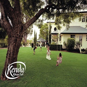 Find the Kikuyu Turf Best Prices on Premium Natural Lawn Solutions