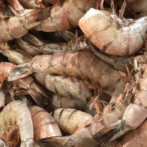 Fresh Seafood Deals Jumbo Shrimp for Sale