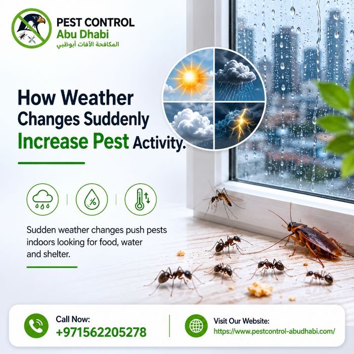 How Weather Changes Suddenly Increase Pest Activity