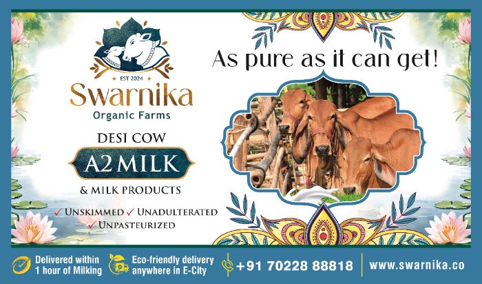 Order Pure Cow Milk In electronic city Bangalore