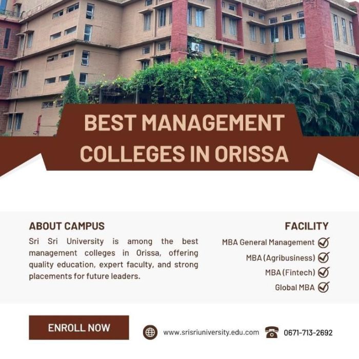 Premier Best Management Colleges in Orissa Unlock Opportunities at Sri Sri University