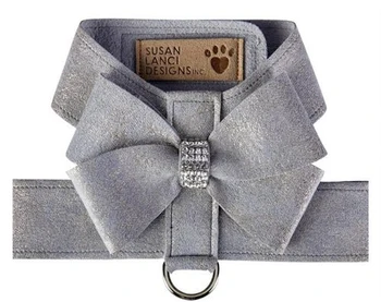 Premium Designer Pet Accessories Gift Set Celebrate Your Pets Special Moments in Style