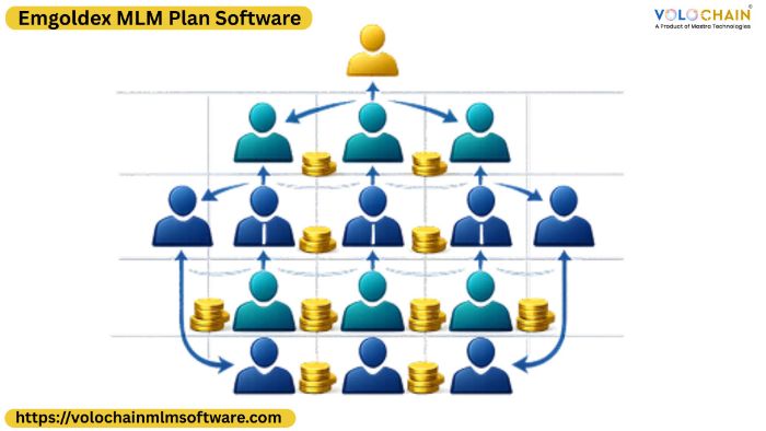Scaleup revenue using Emgoldex Plan MLM Software