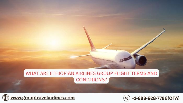What are Ethiopian Airlines Group Flight Terms and Conditions?